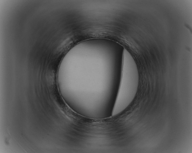 X0000092310744200709141030