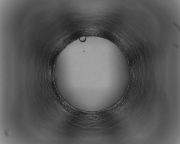 X0000092310745200709141030