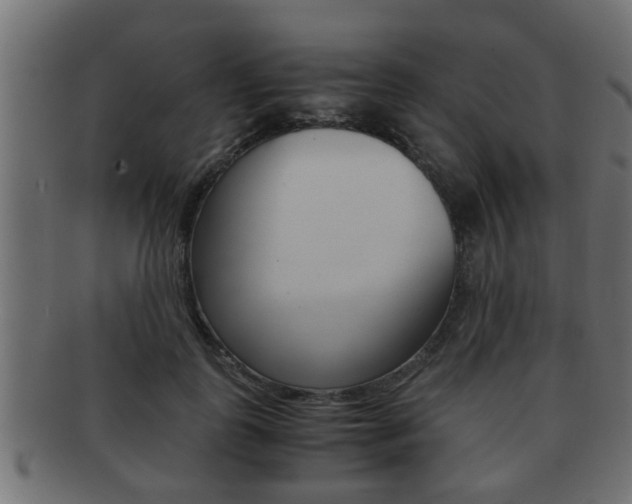 X0000092310747200709141030