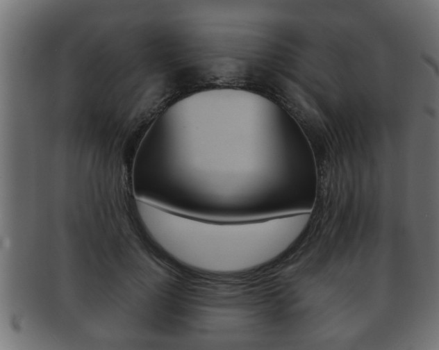 X0000092310748200709141030