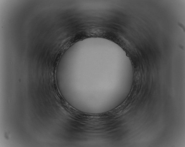 X0000092310749200709141030