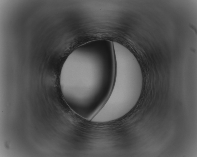 X0000092310750200709141030