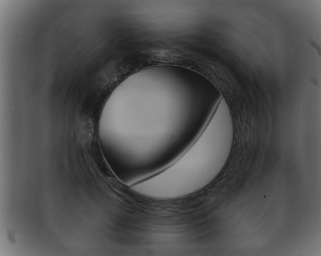 X0000092310752200709141030