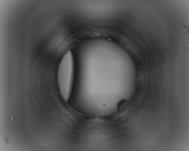 X0000092310754200709141031