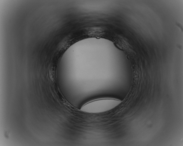 X0000092310755200709141031