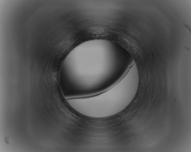 X0000092310756200709141031