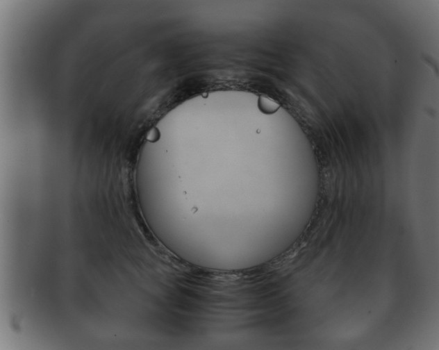 X0000092310757200709141031