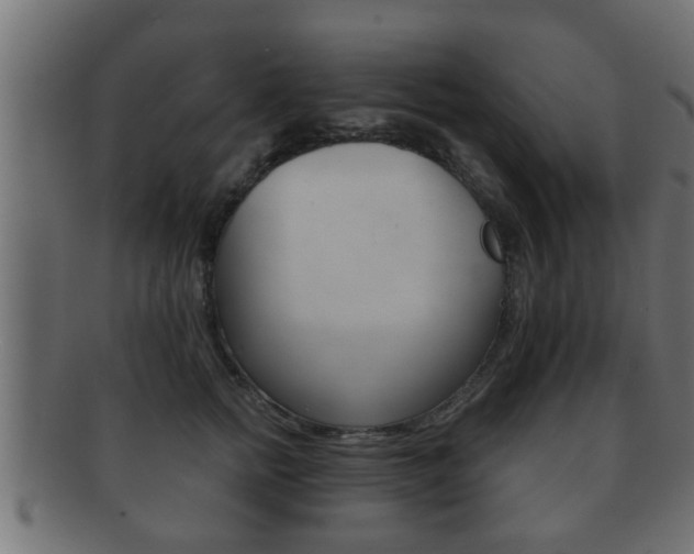 X0000092310758200709141031