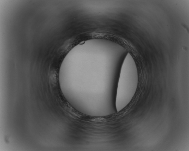 X0000092310761200709141031