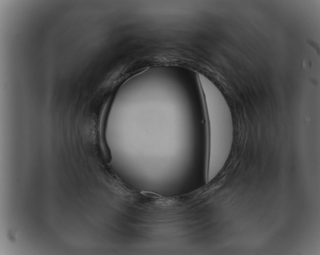 X0000092310762200709141031