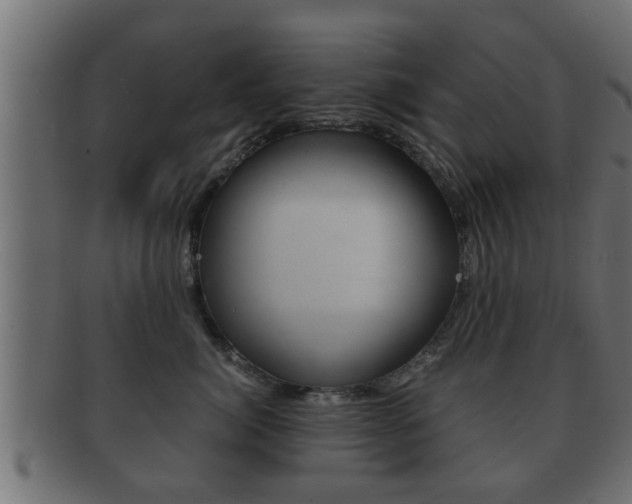 X0000092310764200709141031