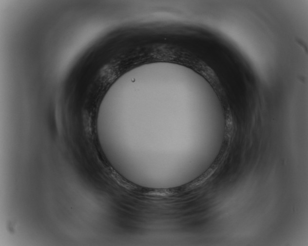 X0000092310765200709141031