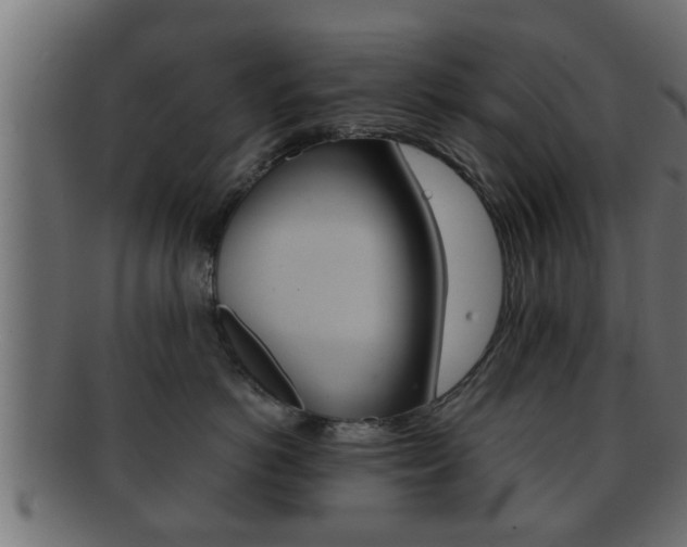 X0000092310766200709141031