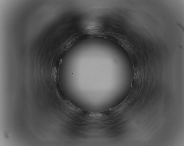 X0000092310767200709141031