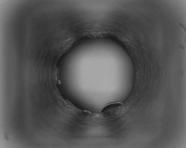 X0000092310768200709141031