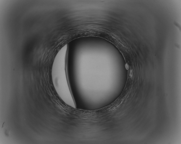 X0000092310771200709141030