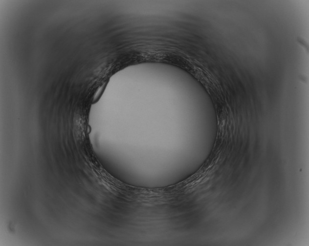 X0000092310772200709141030
