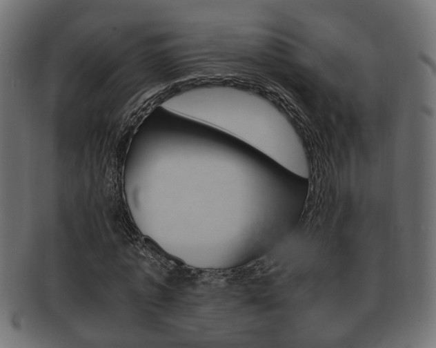 X0000092310773200709141030