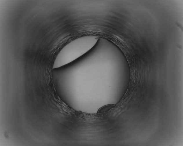 X0000092310774200709141030