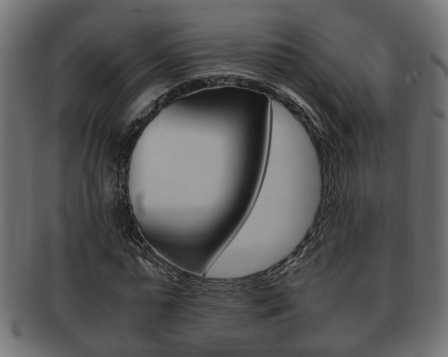 X0000092310775200709141030
