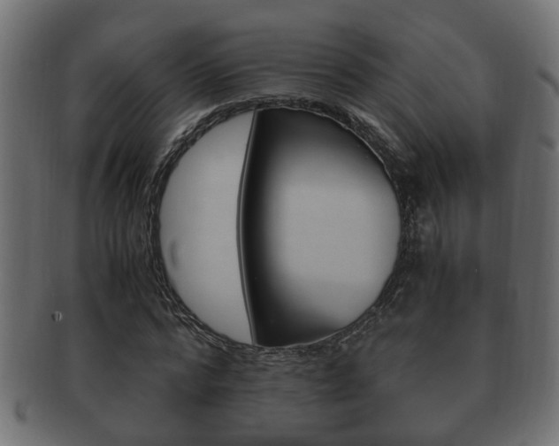 X0000092310776200709141030