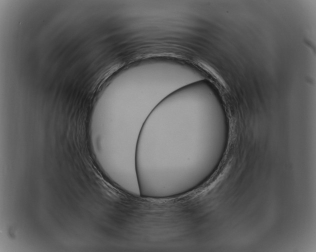 X0000092310777200709141030