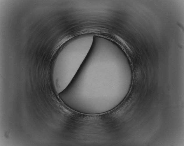 X0000092310778200709141030