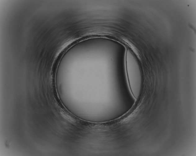 X0000092310779200709141030