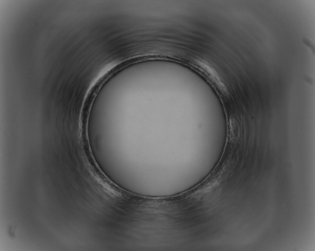 X0000092310780200709141030