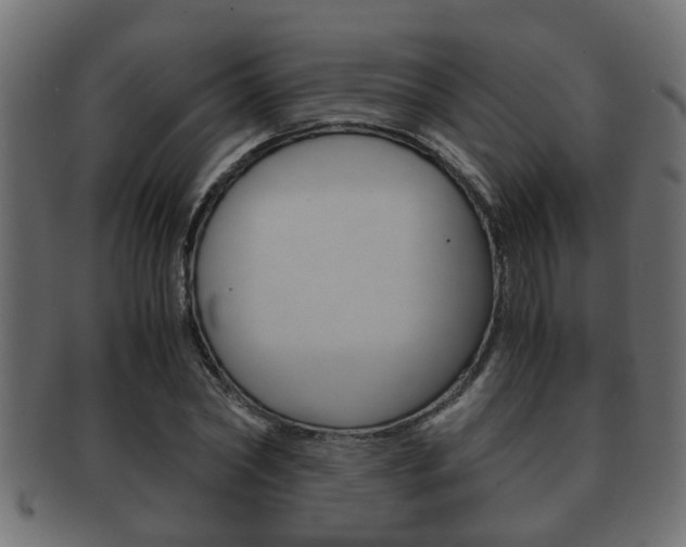 X0000092310782200709141030