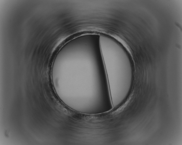 X0000092310783200709141030
