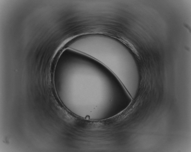 X0000092310784200709141030