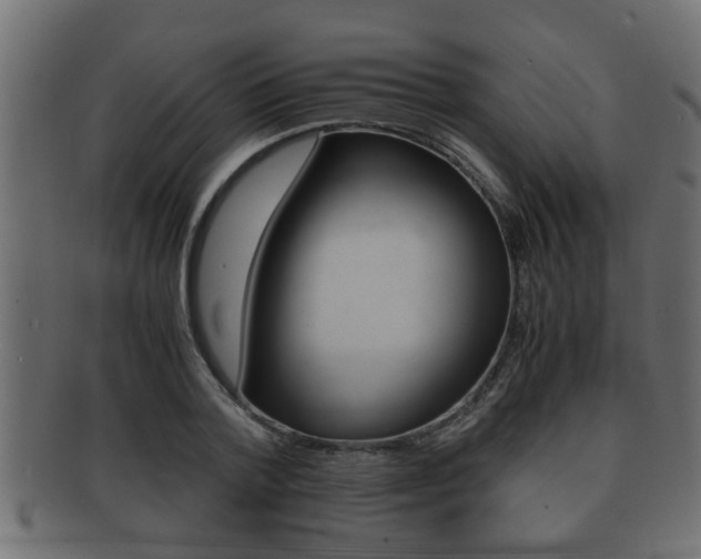 X0000092310788200709141030
