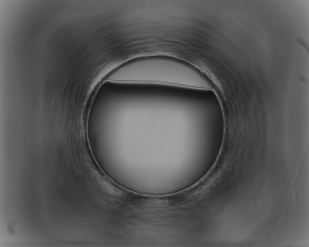 X0000092310789200709141030