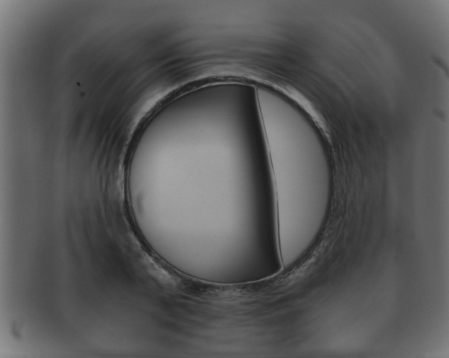 X0000092310791200709141030