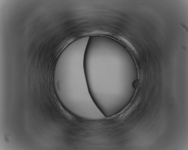X0000092310793200709141030