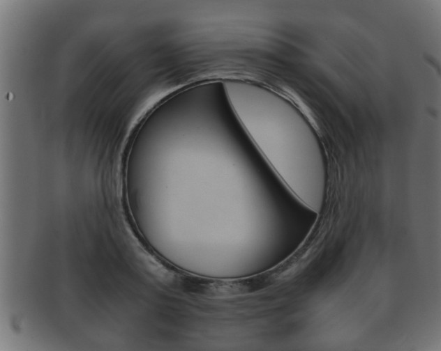 X0000092310795200709141030