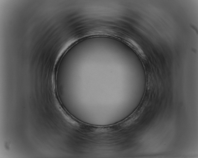 X0000092310796200709141030