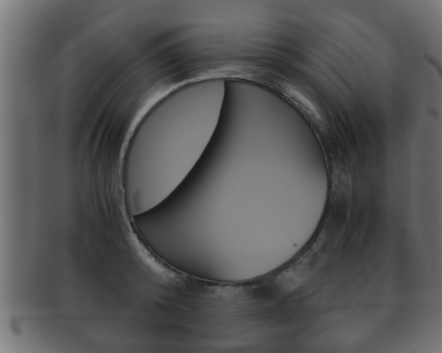 X0000092310800200709141030