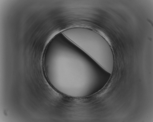 X0000092310803200709141030
