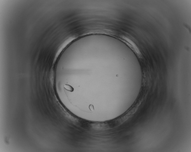 X0000092310804200709141030