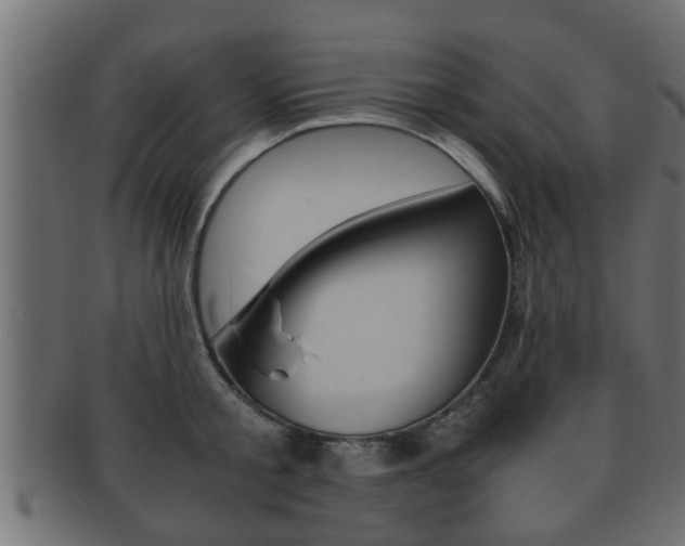 X0000092310805200709141030