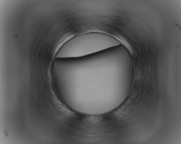 X0000092310806200709141030