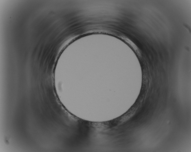 X0000092310807200709141030
