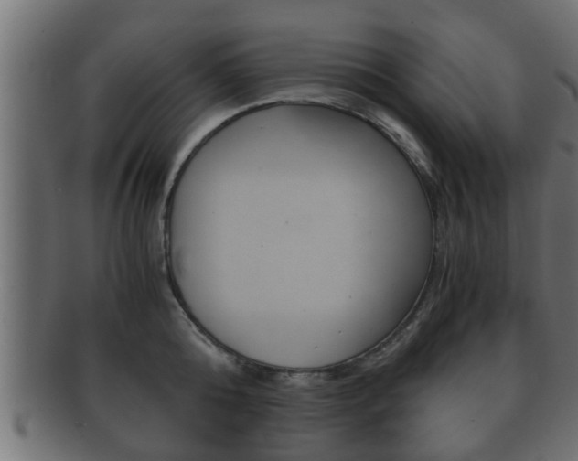 X0000092310808200709141030