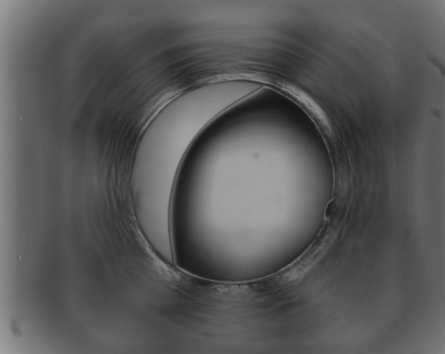 X0000092310809200709141030