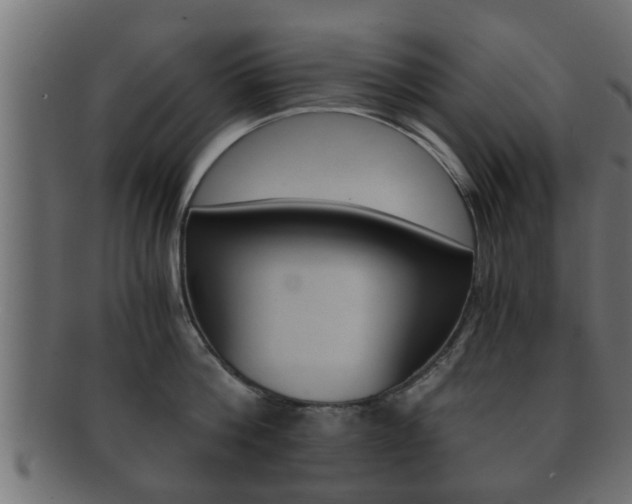 X0000092310812200709141030