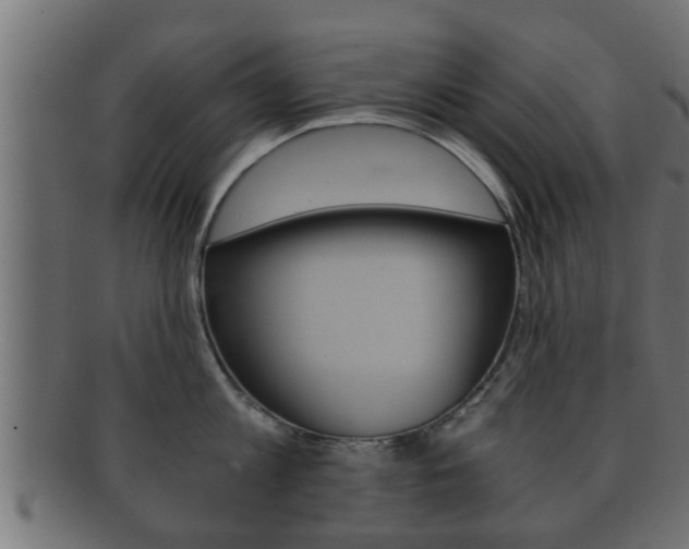 X0000092310813200709141030