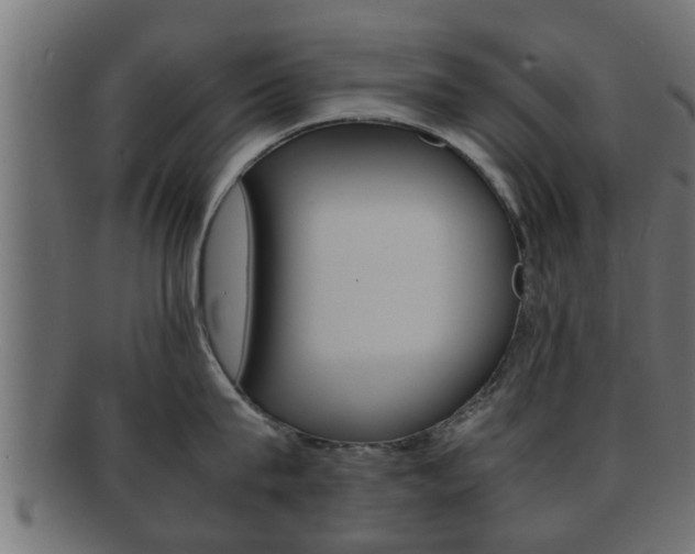 X0000092310815200709141030