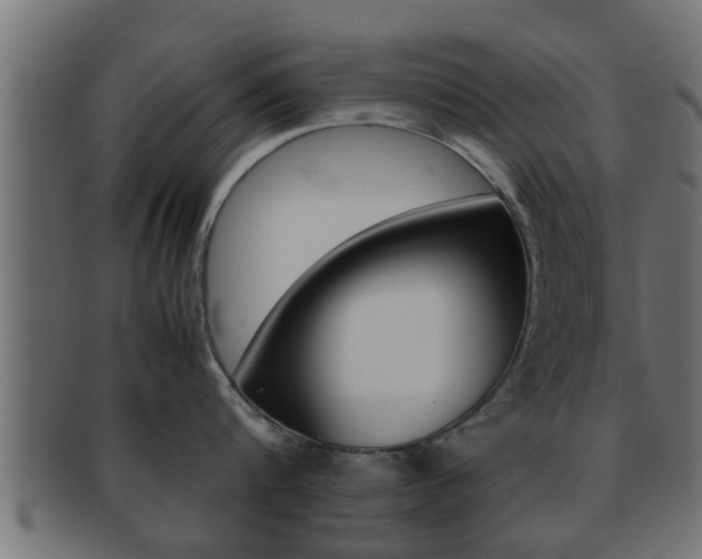 X0000092310816200709141030